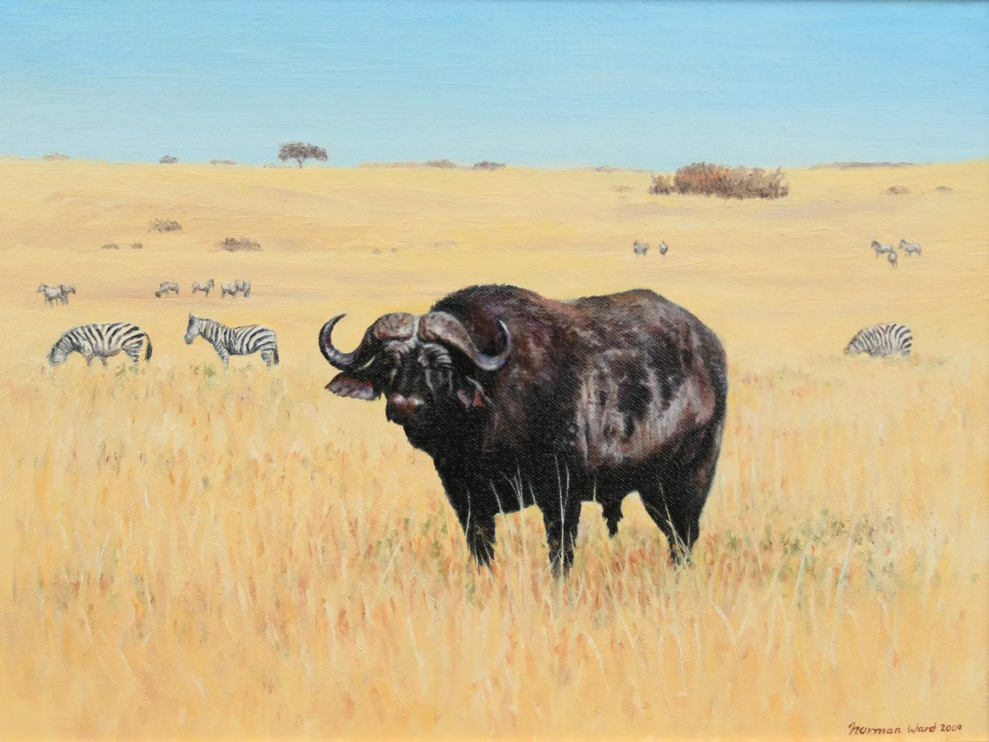 A Norman Ward painting of a buffalo