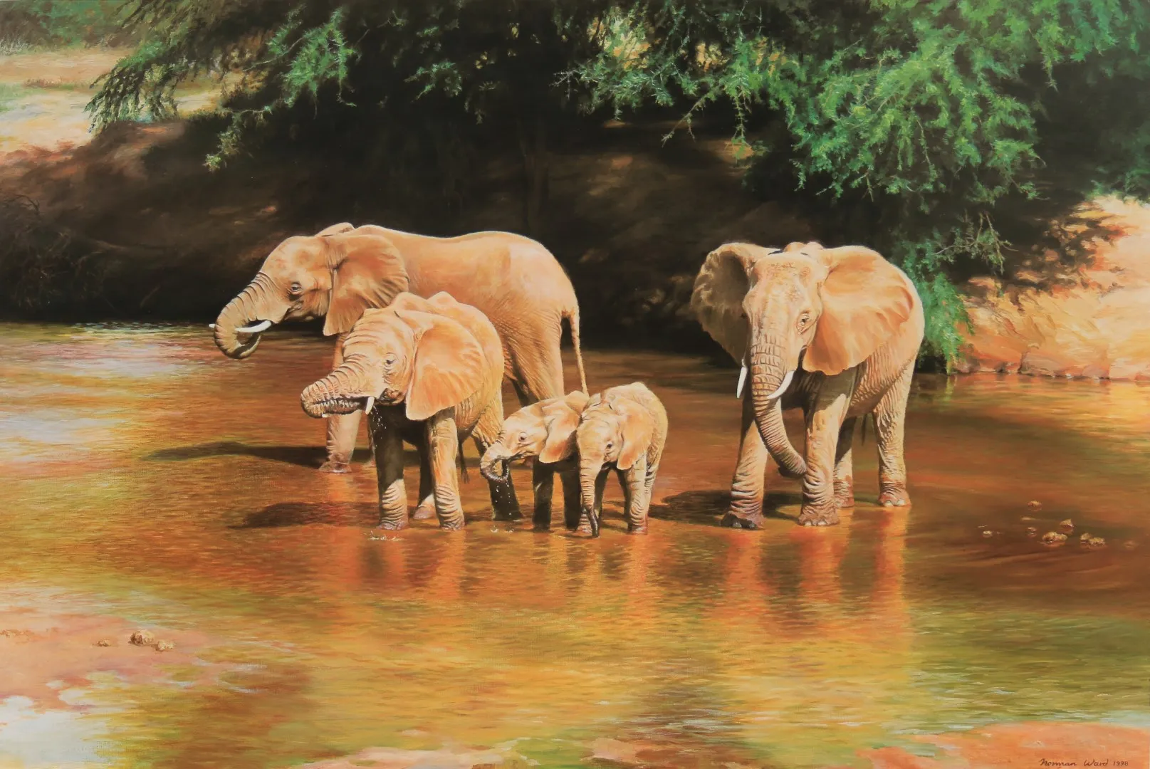 A Norman Ward painting of a buffalo