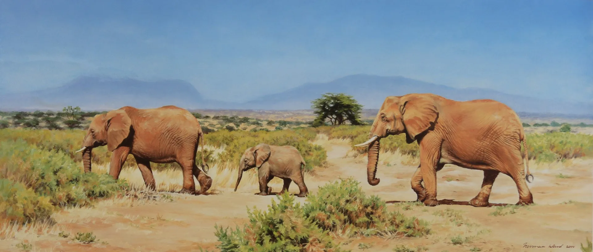 A Norman Ward painting of a buffalo