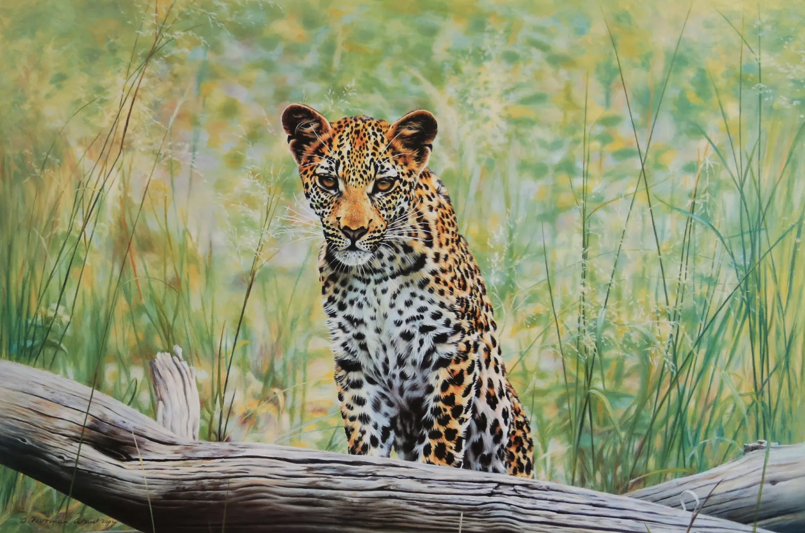 A Norman Ward painting of a buffalo